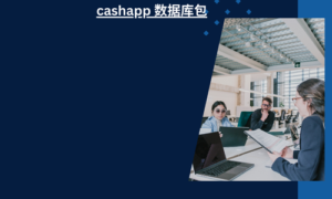 cashapp 数据库包