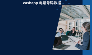 cashapp 电话号码数据