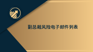 副总裁风险电子邮件列表